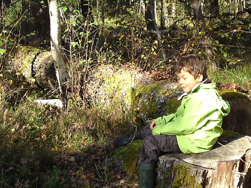 Mares au vinaigre 33